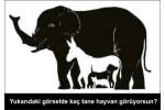 Görselde kaç hayvam görüyorsunuz?