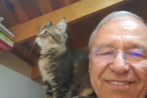 Hayvan Dostlarımız