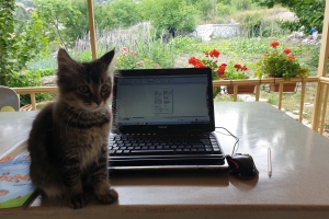 Hayvan Dostlarımız