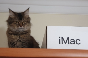 Hayvan Dostlarımız