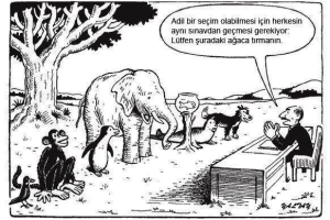 EĞİTİM KARİKATÜRLERİ