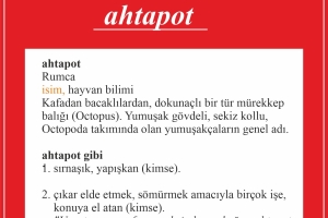 HER GÜN BİR KELİME 1. Albüm