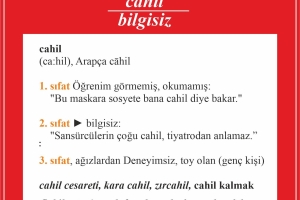 HER GÜN BİR KELİME 1. Albüm