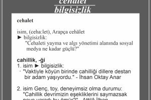 HER GÜN BİR KELİME 1. Albüm