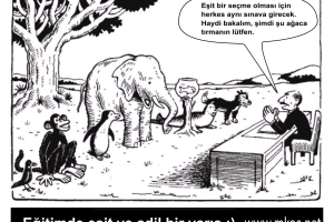 EĞİTİM KARİKATÜRLERİ