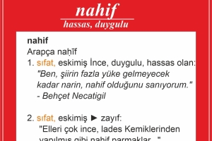 HER GÜN BİR KELİME 1. Albüm