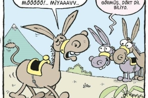 EĞİTİM KARİKATÜRLERİ