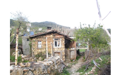 Pandemi Bütün Planları Bozdu