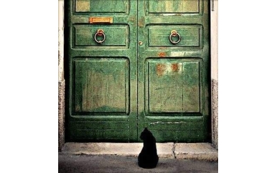 Zamanı Gelince Bir Kapı Açılır