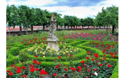 En Güzel Gülü Aramak