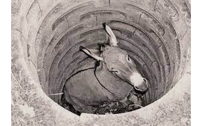 Kuyuya Düşen Eşek