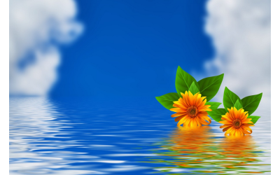 Çiçek ve Suyun Hikayesi