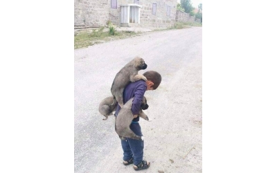 Koca Yürekli Küçük Çocuk