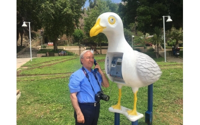 Sitemizle ilgili düşüncelerinizi yazın.