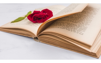 Kitap ve Kırmızı Gül