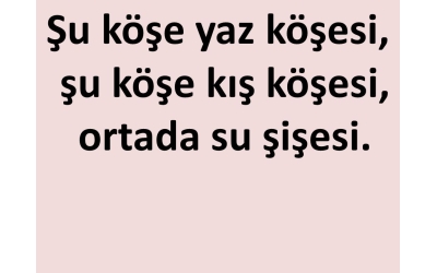 Söyleyin de Görelim