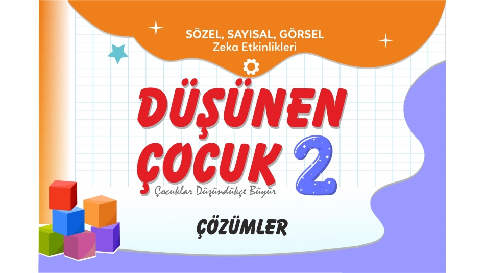 DÜŞÜNEN ÇOCUK -2 ÇÖZÜMLER