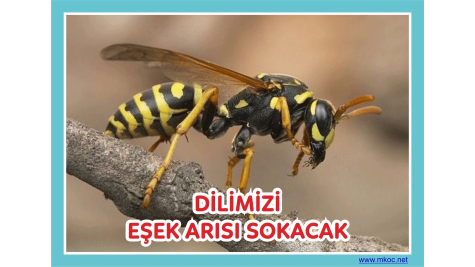 Dilimizi Eşek Arısı Sokmasın!