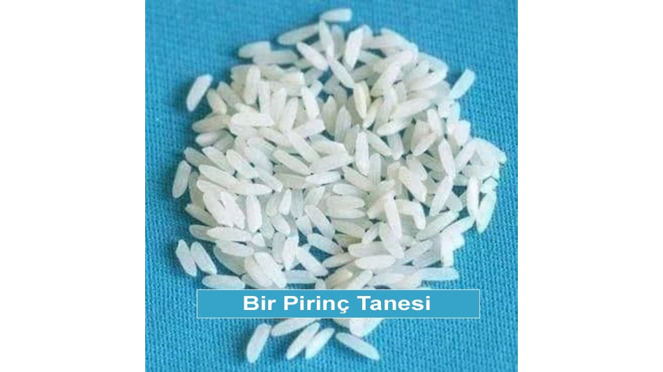 BİR PİRİNÇ TANESİ