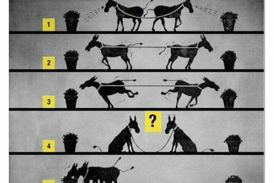 İnat mı uyuşma mı?