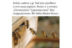 Arılardan İbret Al