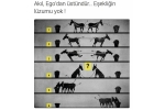 İnat mı uyuşma mı?