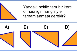 Kareyi Tamamla 