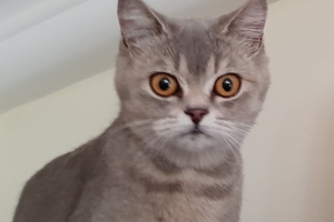 Neler Çektim :)