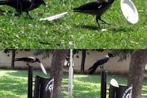 Fotoğraf Dünyası / Seçme Fotoğraflar