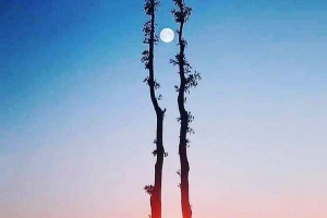 Fotoğraf Dünyası / Seçme Fotoğraflar