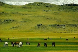Fotoğraf Dünyası / Seçme Fotoğraflar