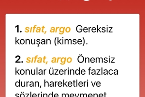 HERKESİN BİR KELİME HAZİNESİ VAR