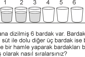 ALTI BARDAK