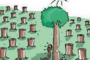 Karikatür Dünyası