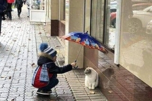 Fotoğraf Dünyası / Seçme Fotoğraflar