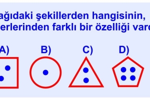 Hangisi Farklı?