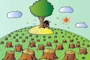 Karikatür Dünyası