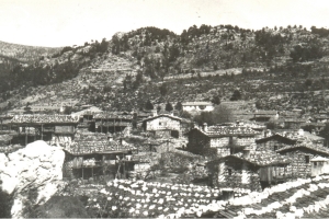İyi Bir Fotoğrafçı Olacağım Zaten Belliydi