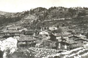 Şu Benim Fotoğraf Merakım