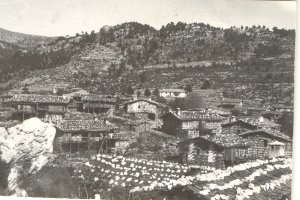 Ahmetler Aksekinin Yıldızı