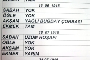 Kınalı Kuzular Çanakkale Şehitlerini Anıyoruz