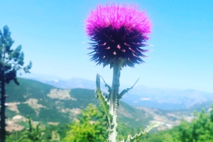 Neler Çektim :)