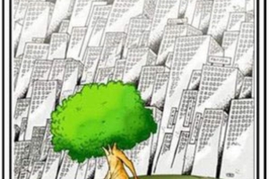 Karikatür Dünyası