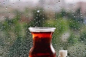 Fotoğraf Dünyası / Seçme Fotoğraflar