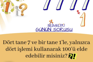 Rakamlarla İşlem Becerisi