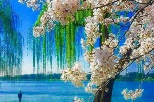 Fotoğraf Dünyası / Seçme Fotoğraflar