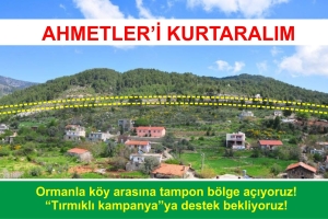 Ahmetleri Kurtaralım