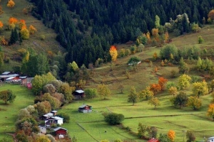 Fotoğraf Dünyası / Seçme Fotoğraflar