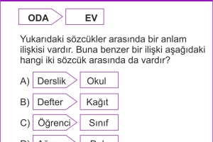 Sözel Yetenek