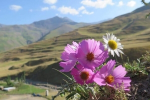Fotoğraf Dünyası / Seçme Fotoğraflar